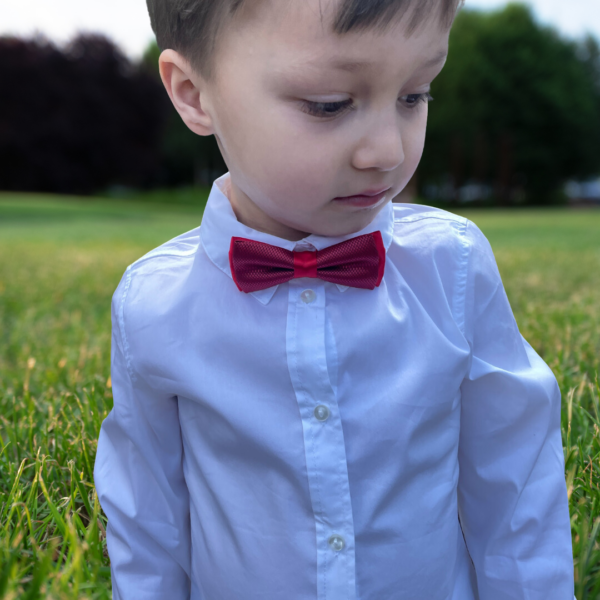 Boys Red Bow Tie - Image 4