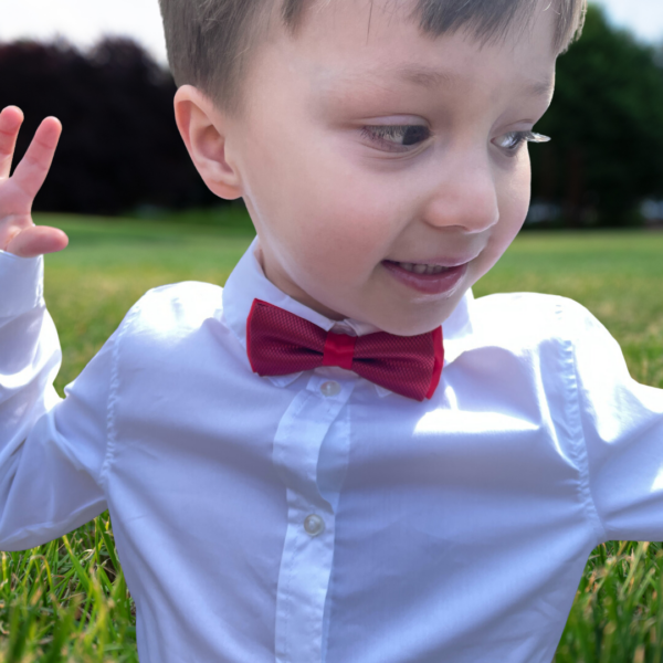 Boys Red Bow Tie - Image 3