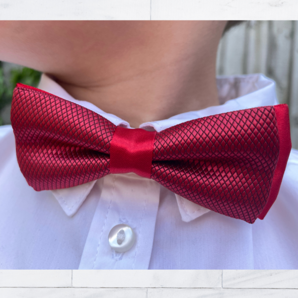 Boys Red Bow Tie