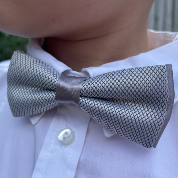 Boys Silver Bow Tie